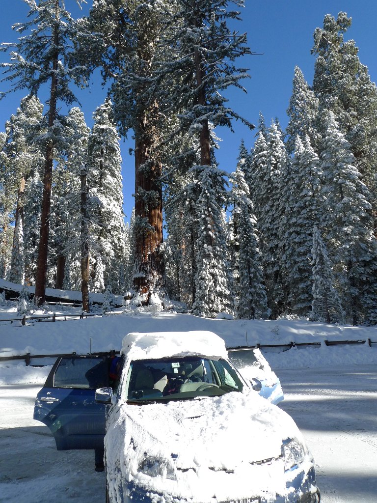 Christmas2010 178.JPG